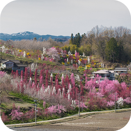 花やしき公園