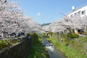 一の坂川